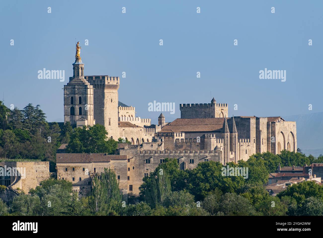 Ampia vista del Palazzo dei Papi di Avignone Foto Stock