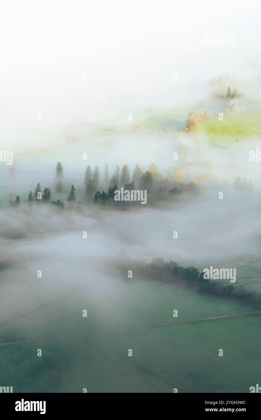 Atmosfera mattutina autunnale sul prato di Allgäu e sul paesaggio forestale immerso nella nebbia fiabesca Foto Stock