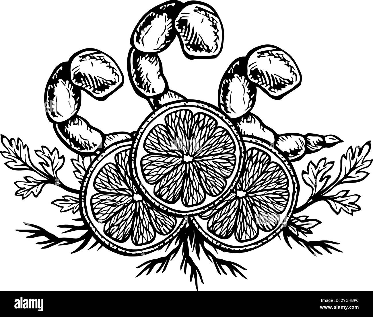 Piatto di gamberi con limone ed erbe aromatiche. Grafica vettoriale con l'immagine del pesce cotto. Un'illustrazione in bianco e nero del piatto disegnata a mano. Per un menu, Illustrazione Vettoriale