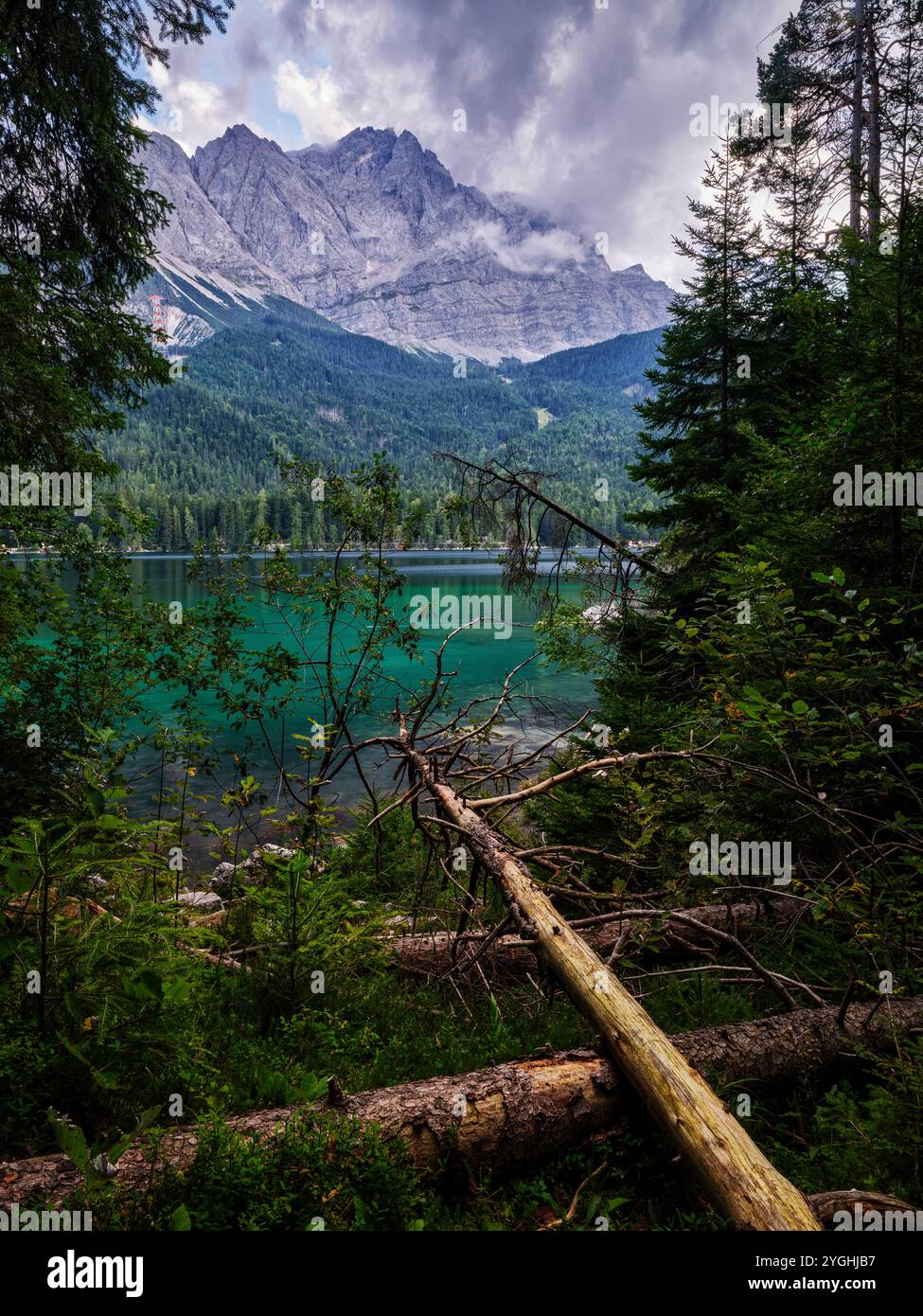 A destra del sentiero intorno all'Eibsee presso il Drachensee Foto Stock