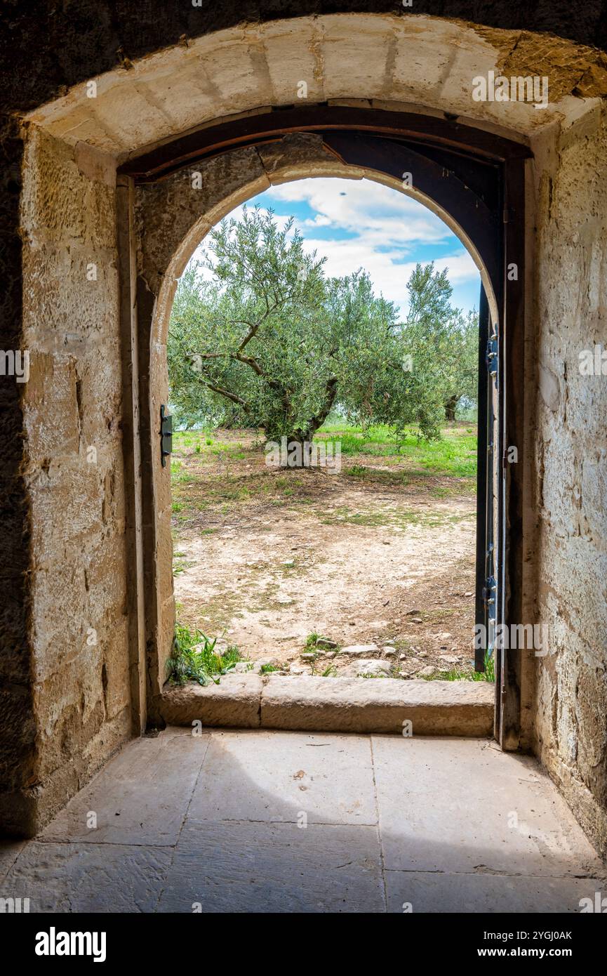 Porta aperta che conduce in un campo di ulivi Foto Stock