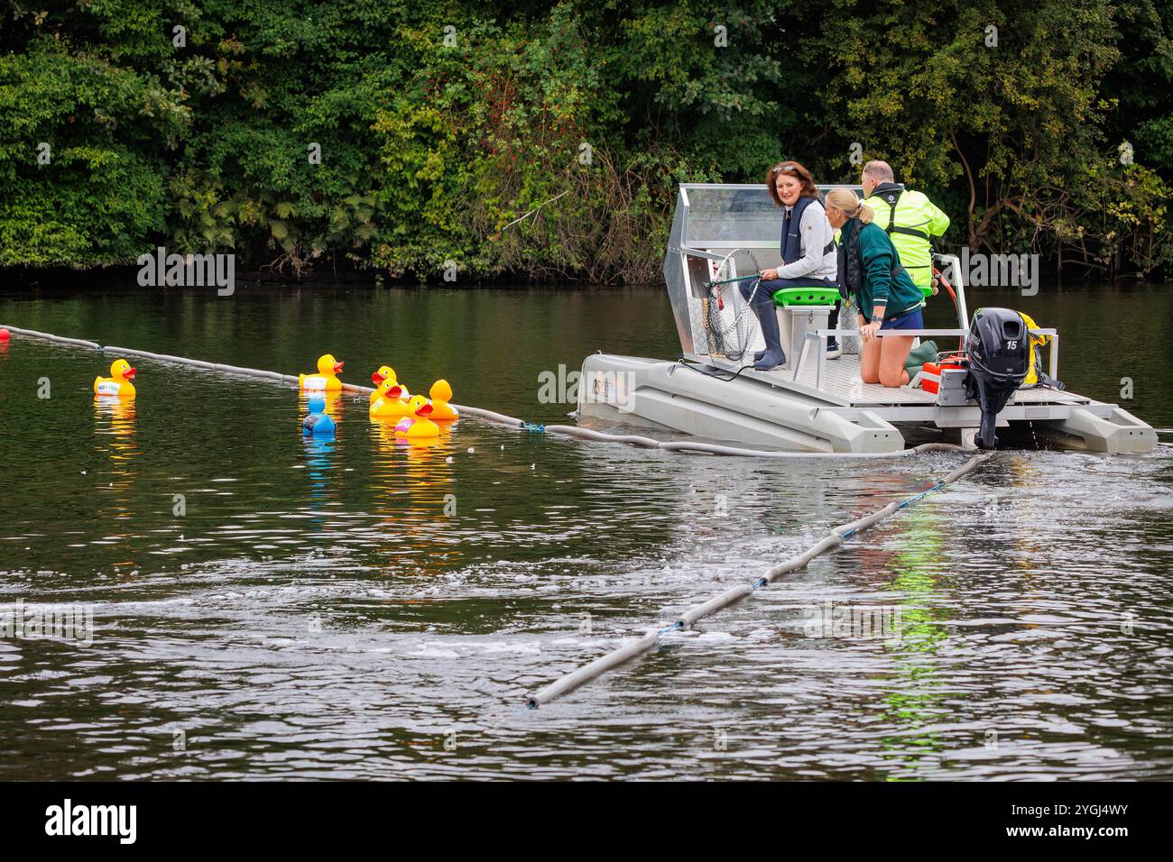 Great Warrington e Latchford Duck Race Foto Stock