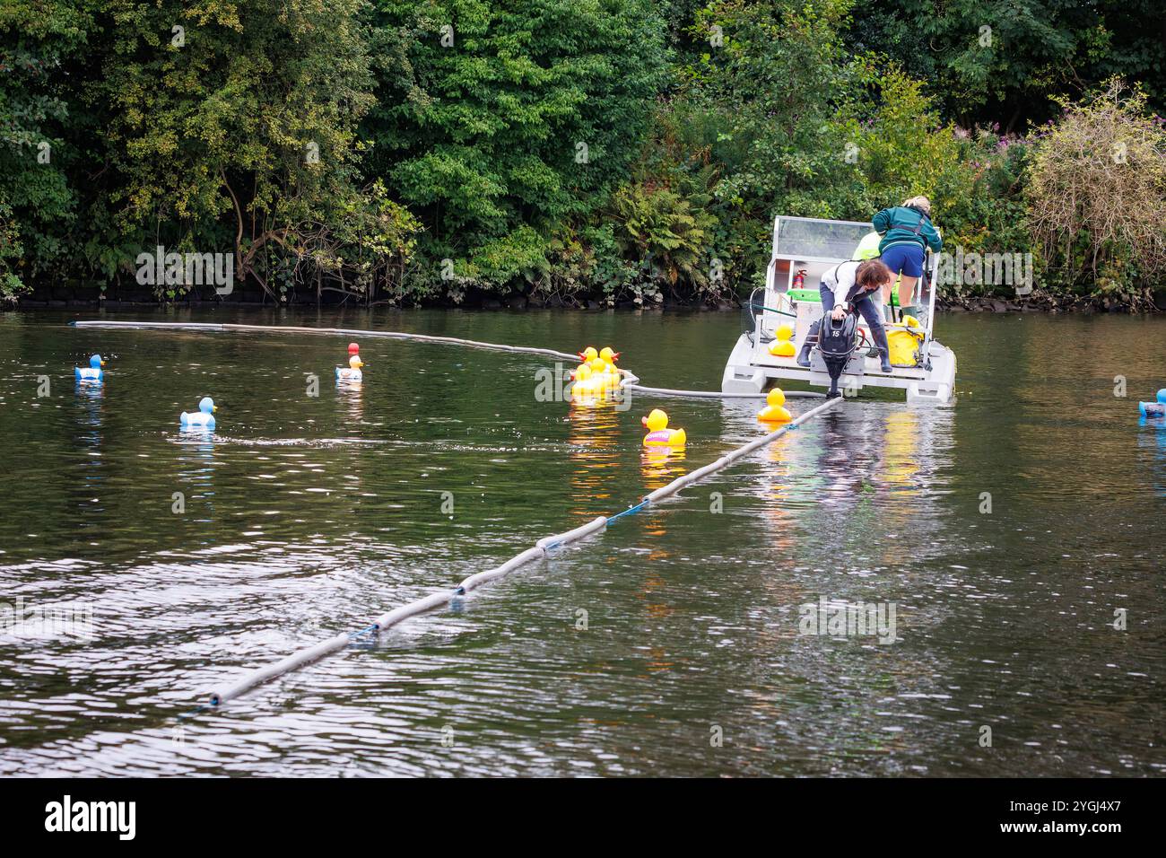 Great Warrington e Latchford Duck Race Foto Stock