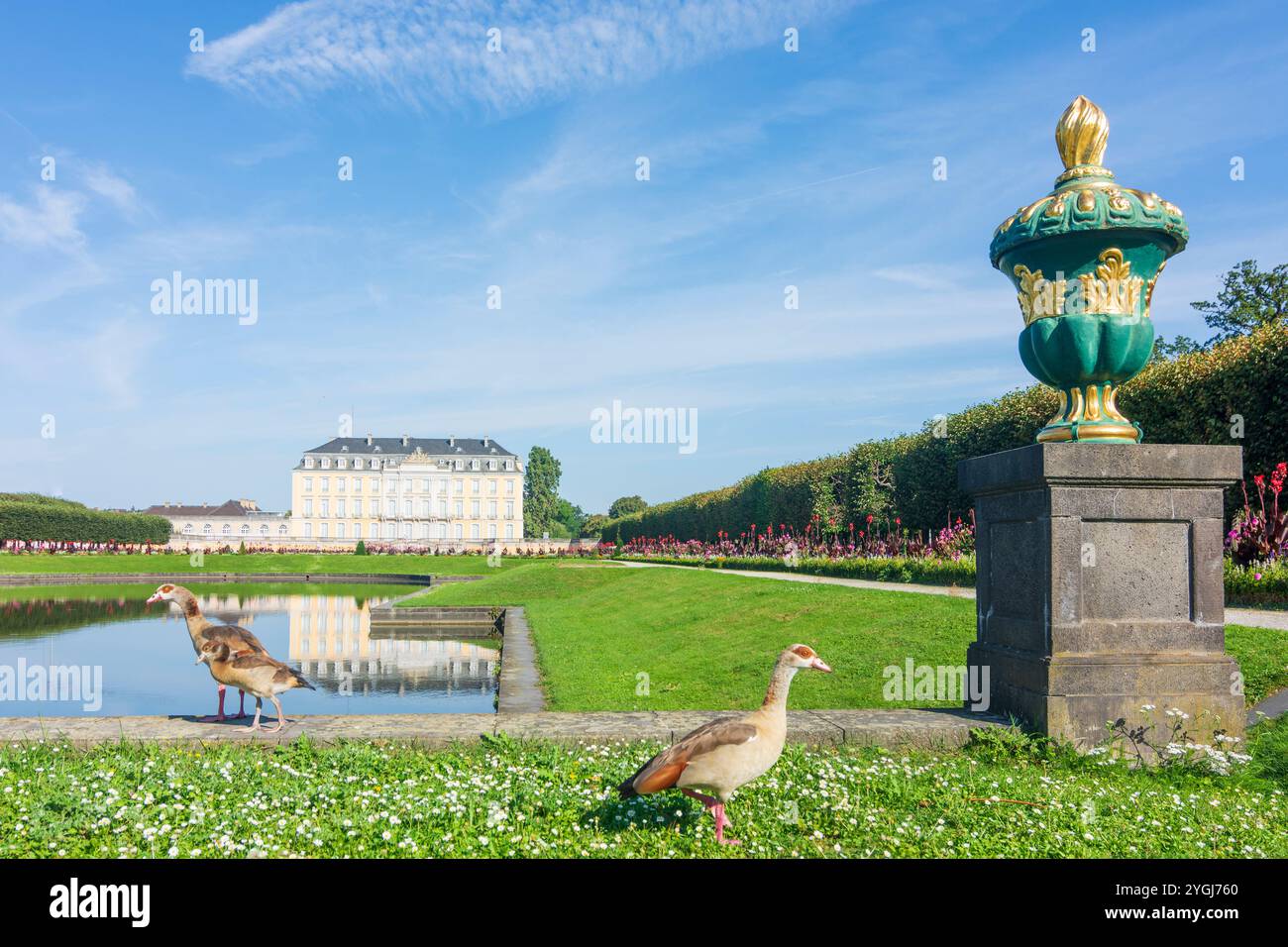 Brühl (Rheinland), Schloss Augustusburg Palace a Köln & Rhein-Erft-Kreis, Renania settentrionale-Vestfalia, Germania Foto Stock