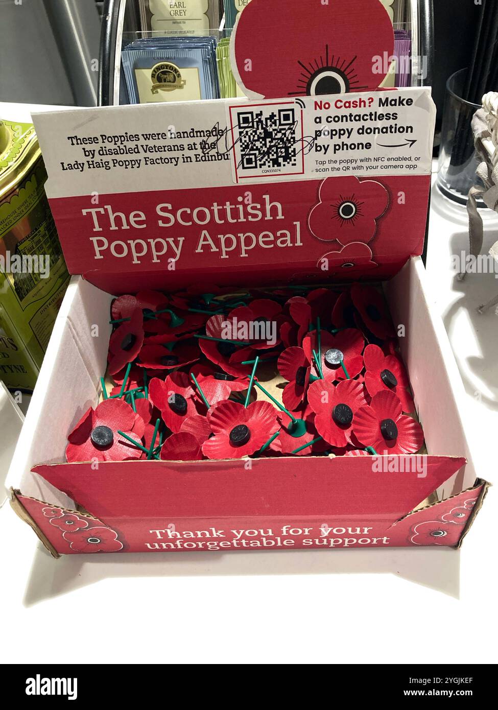 The Scottish Poppy Appeal, Poppies in vendita in avvicinamento alla domenica della memoria Foto Stock