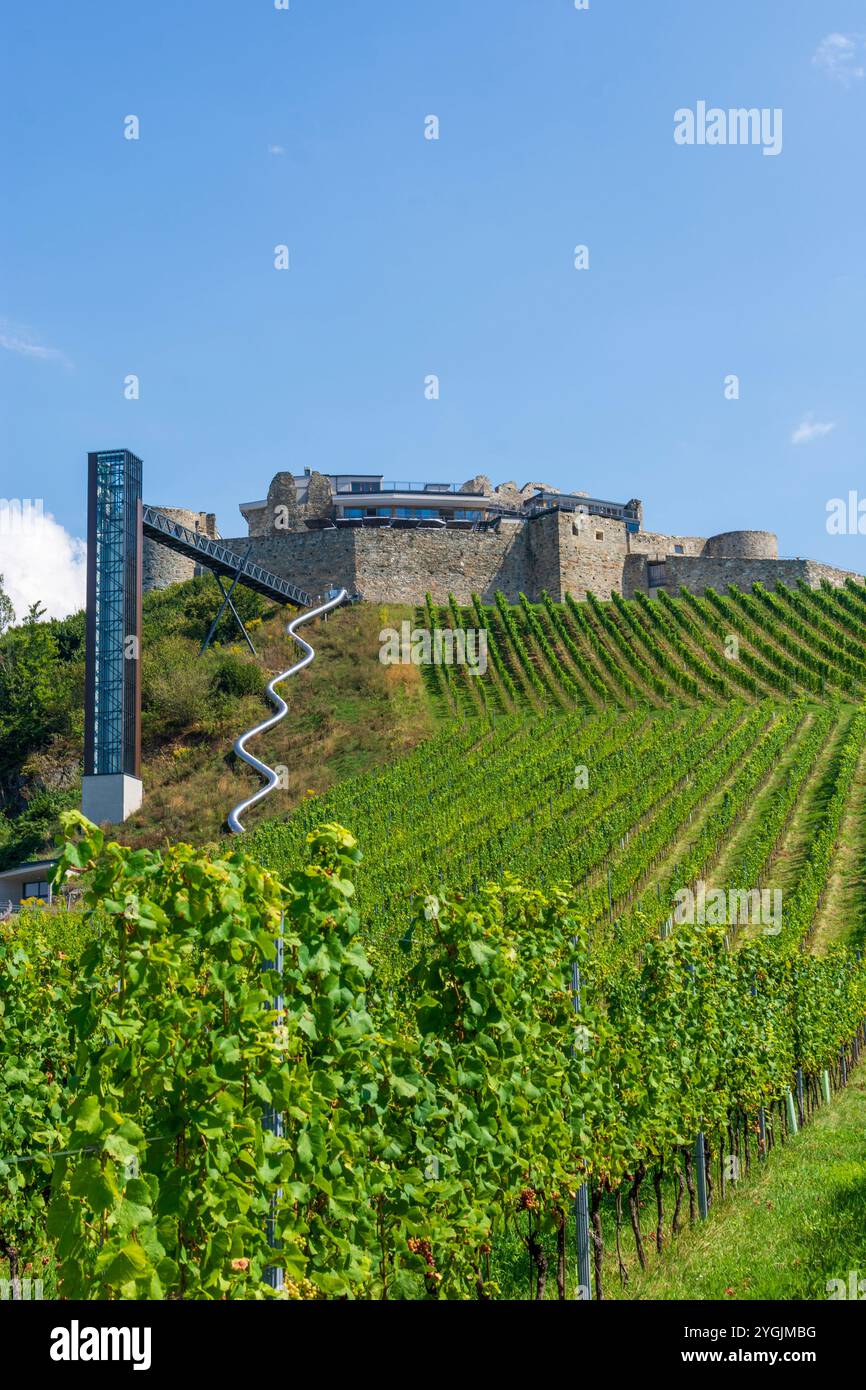 Sankt Georgen am Längsee, castello di Taggenbrunn, vigneto, ascensore a Mittelkärnten, Carinzia, Austria Foto Stock