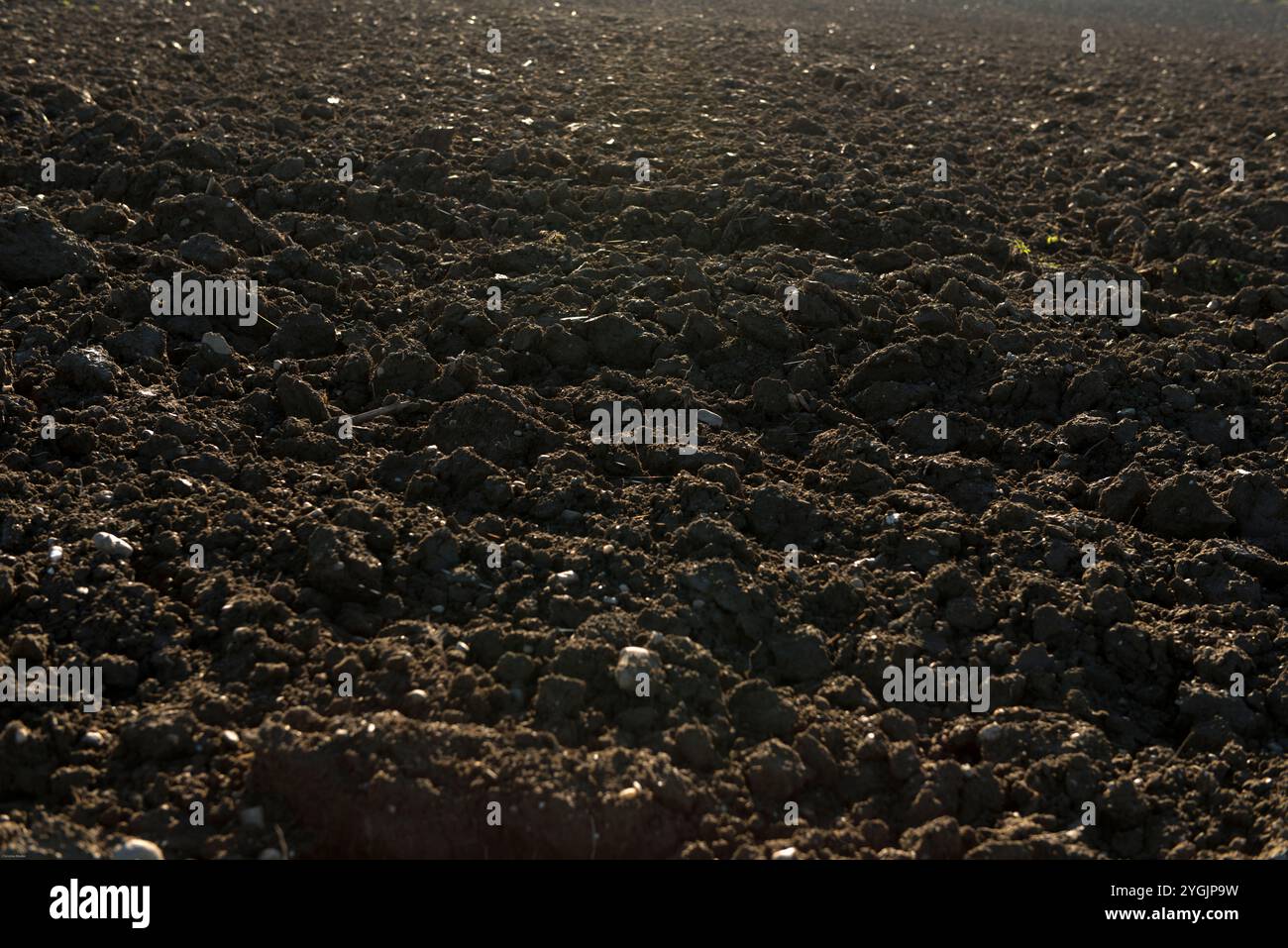 appena arato, campo, terreno Foto Stock