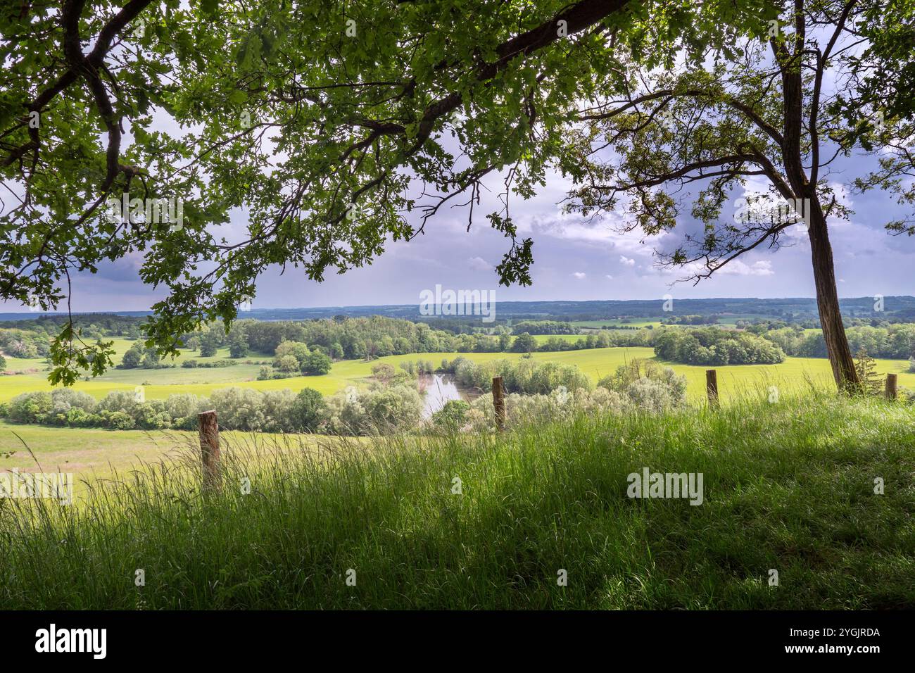 Vista sul paesaggio collinare del Meclemburgo-Vorpommern in primavera Foto Stock