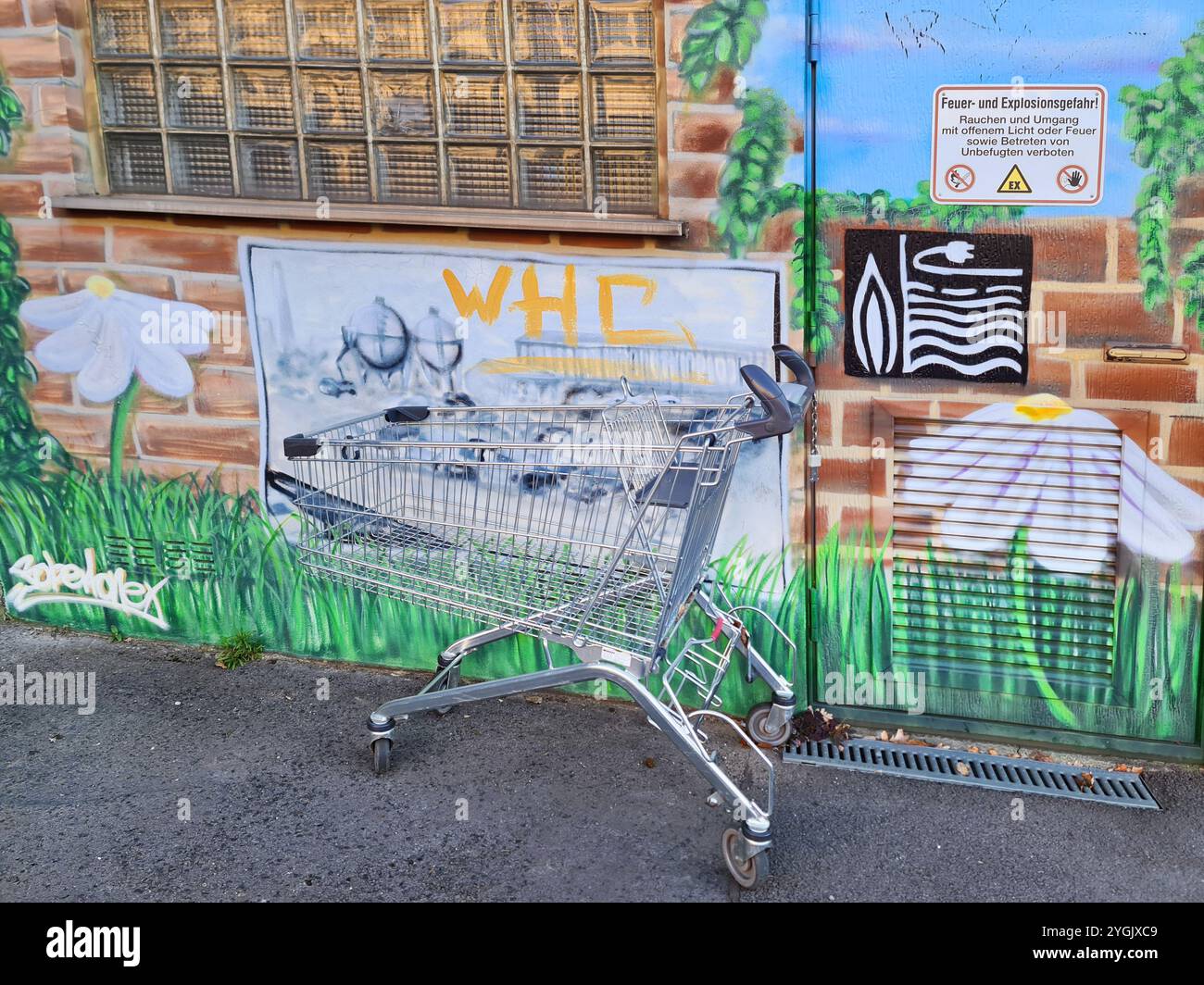 svuotare il carrello della spesa di fronte a una stazione di trasformazione verniciata Foto Stock