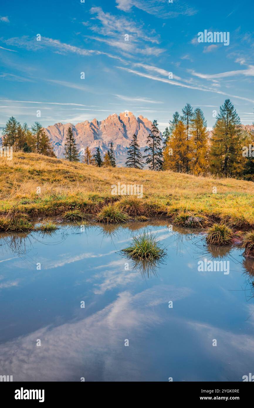 Piccolo specchio d'acqua nei pascoli di Malga Federa con il monte cristallo sullo sfondo, Cortina d'Ampezzo, provincia di Belluno, Veneto, Italia Foto Stock