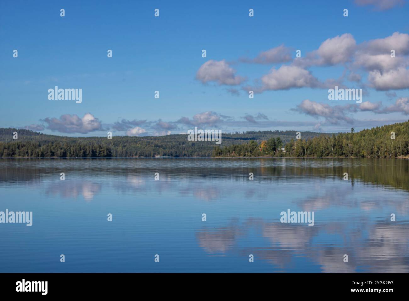 Tranquillo lago in una pineta. Splendido riflesso dell'ambiente circostante nell'acqua. Paesaggio girato nella natura di Amal, Svezia Foto Stock