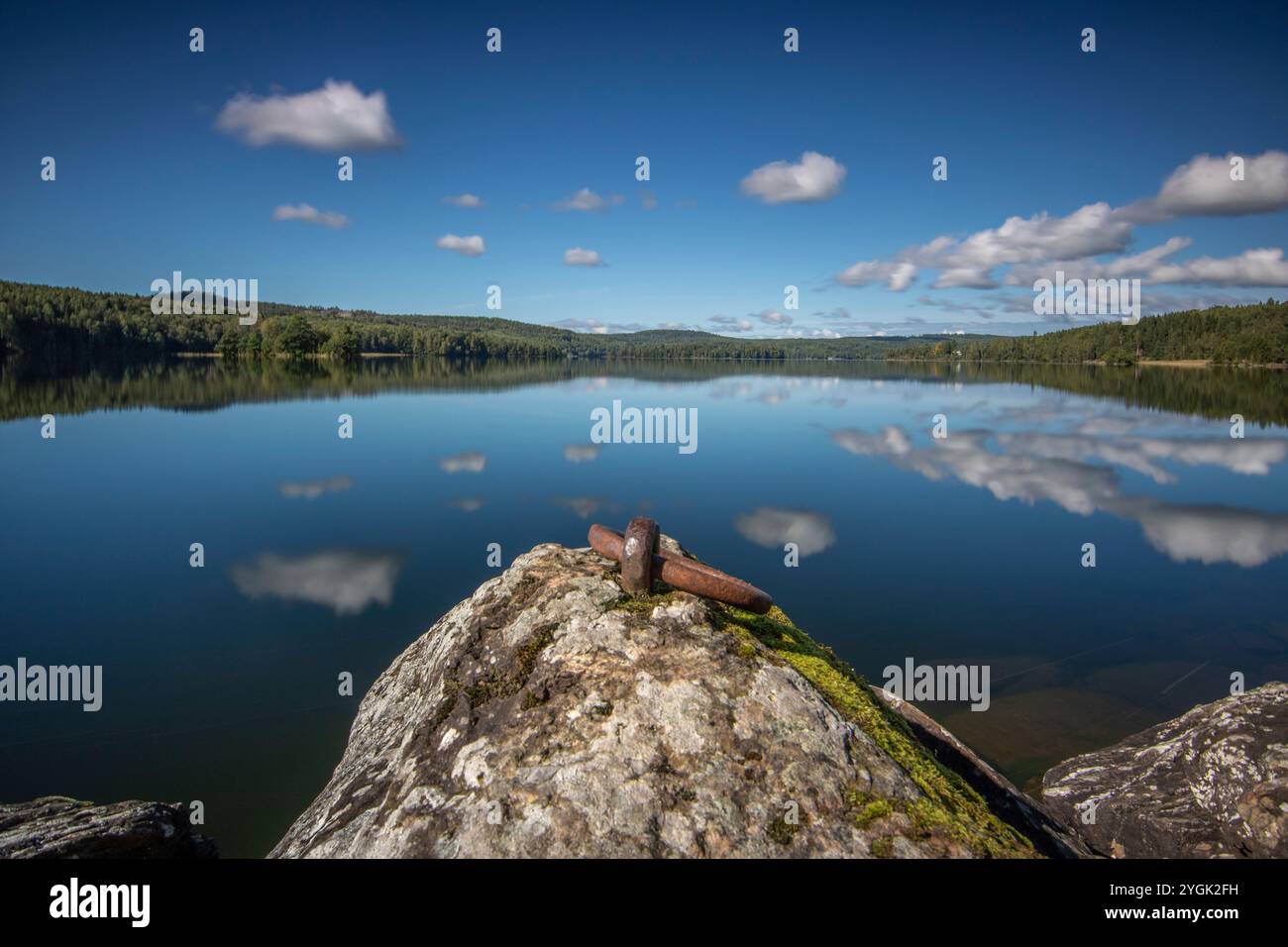 Tranquillo lago in una pineta. Splendido riflesso dell'ambiente circostante nell'acqua. Paesaggio girato nella natura di Amal, Svezia Foto Stock