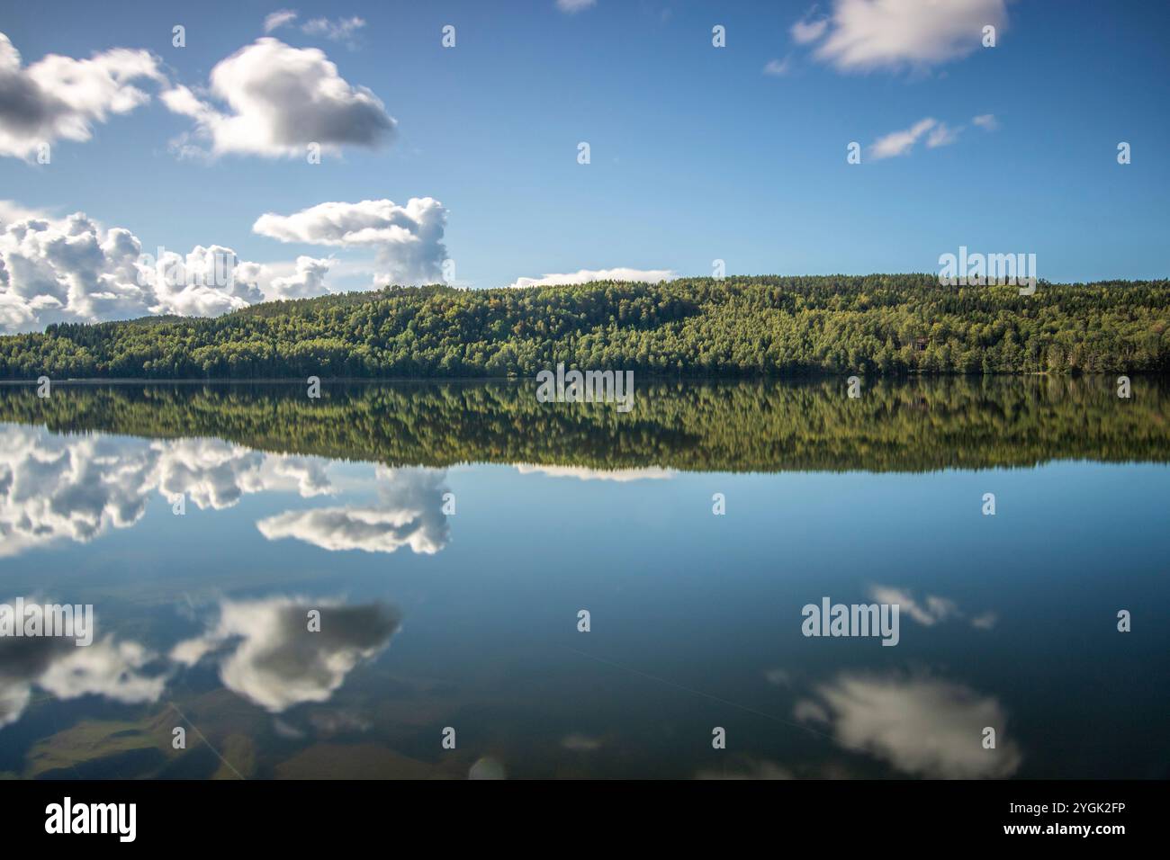 Tranquillo lago in una pineta. Splendido riflesso dell'ambiente circostante nell'acqua. Paesaggio girato nella natura di Amal, Svezia Foto Stock
