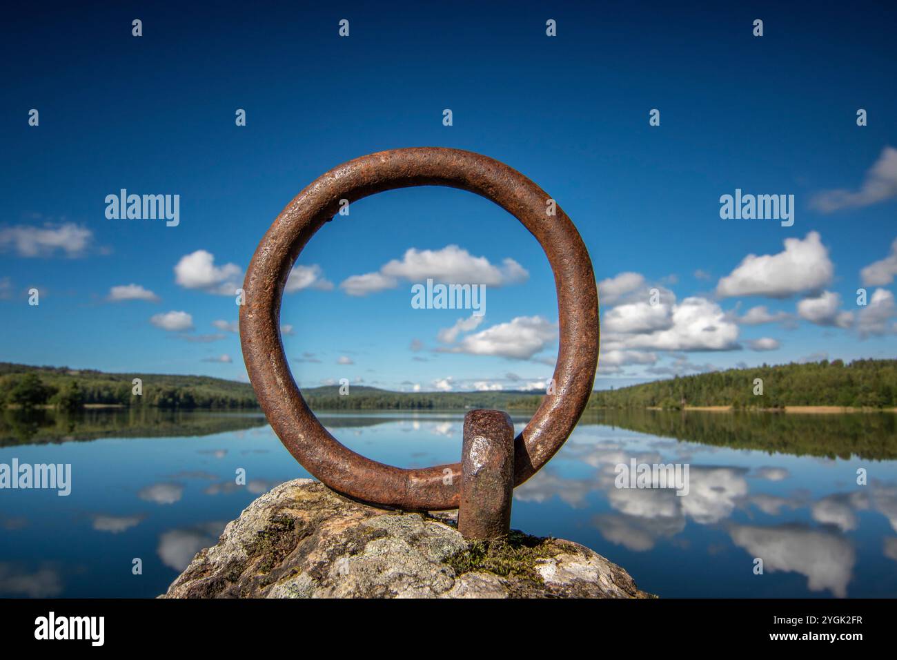 Tranquillo lago in una pineta. Splendido riflesso dell'ambiente circostante nell'acqua. Paesaggio girato nella natura di Amal, Svezia Foto Stock