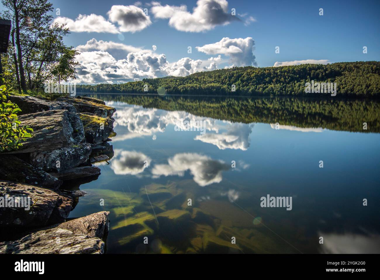 Tranquillo lago in una pineta. Splendido riflesso dell'ambiente circostante nell'acqua. Paesaggio girato nella natura di Amal, Svezia Foto Stock