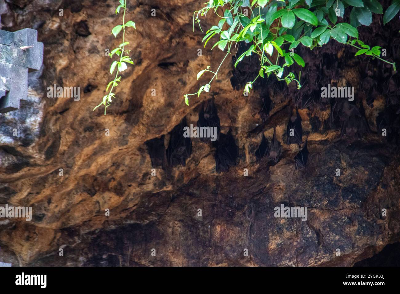 Complesso di templi della fede indù. Tempio in pietra lavica di fronte a una grotta sacra di pipistrelli del tempio di Goa Lawah, Bali, Indonesia Foto Stock