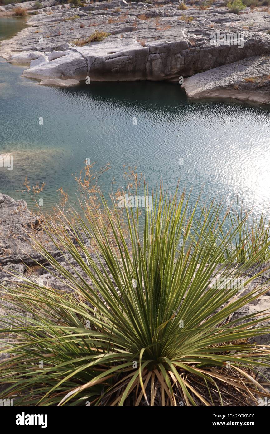 Affacciato sulle Perdenales Falls durante una siccità Foto Stock