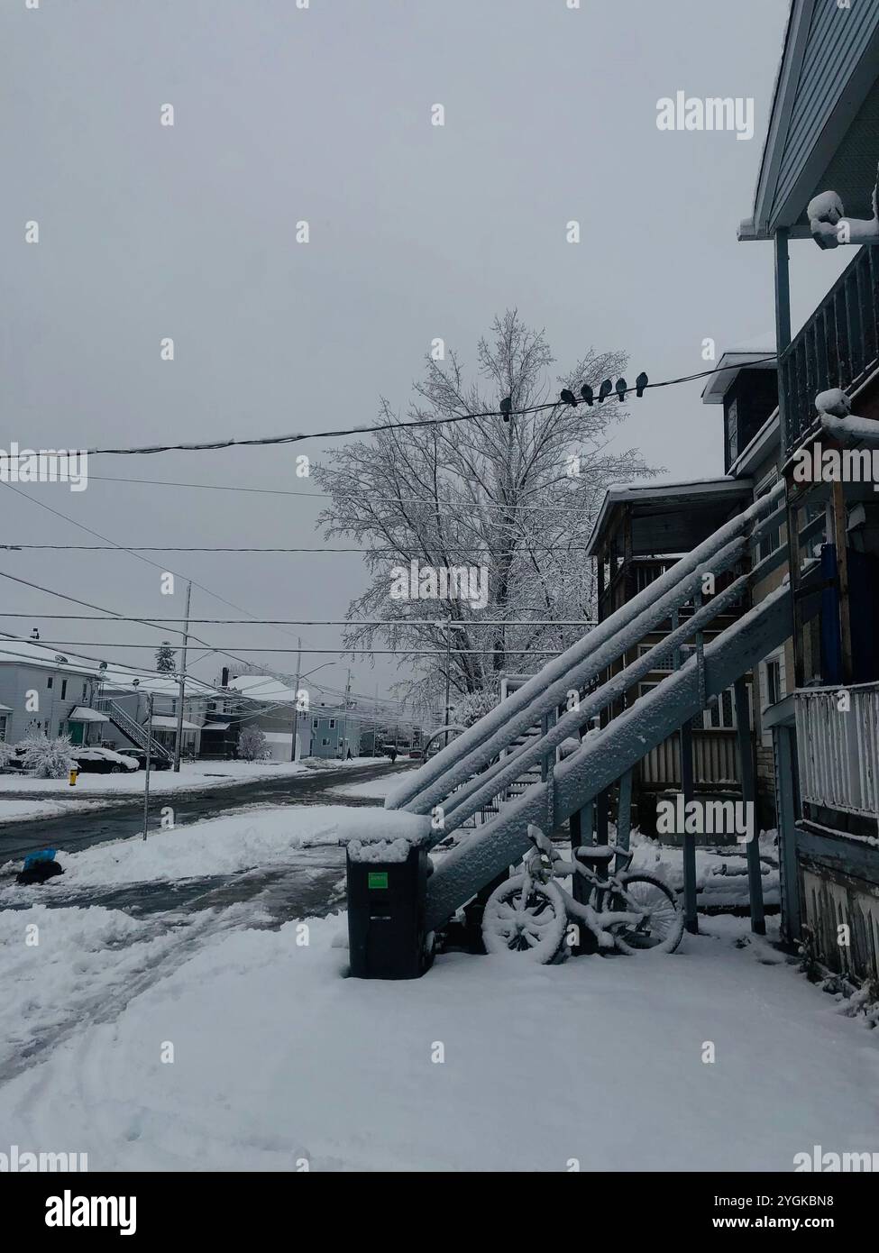 Una tranquilla ambientazione invernale con una bicicletta e un cestino ricoperto di neve. Foto Stock