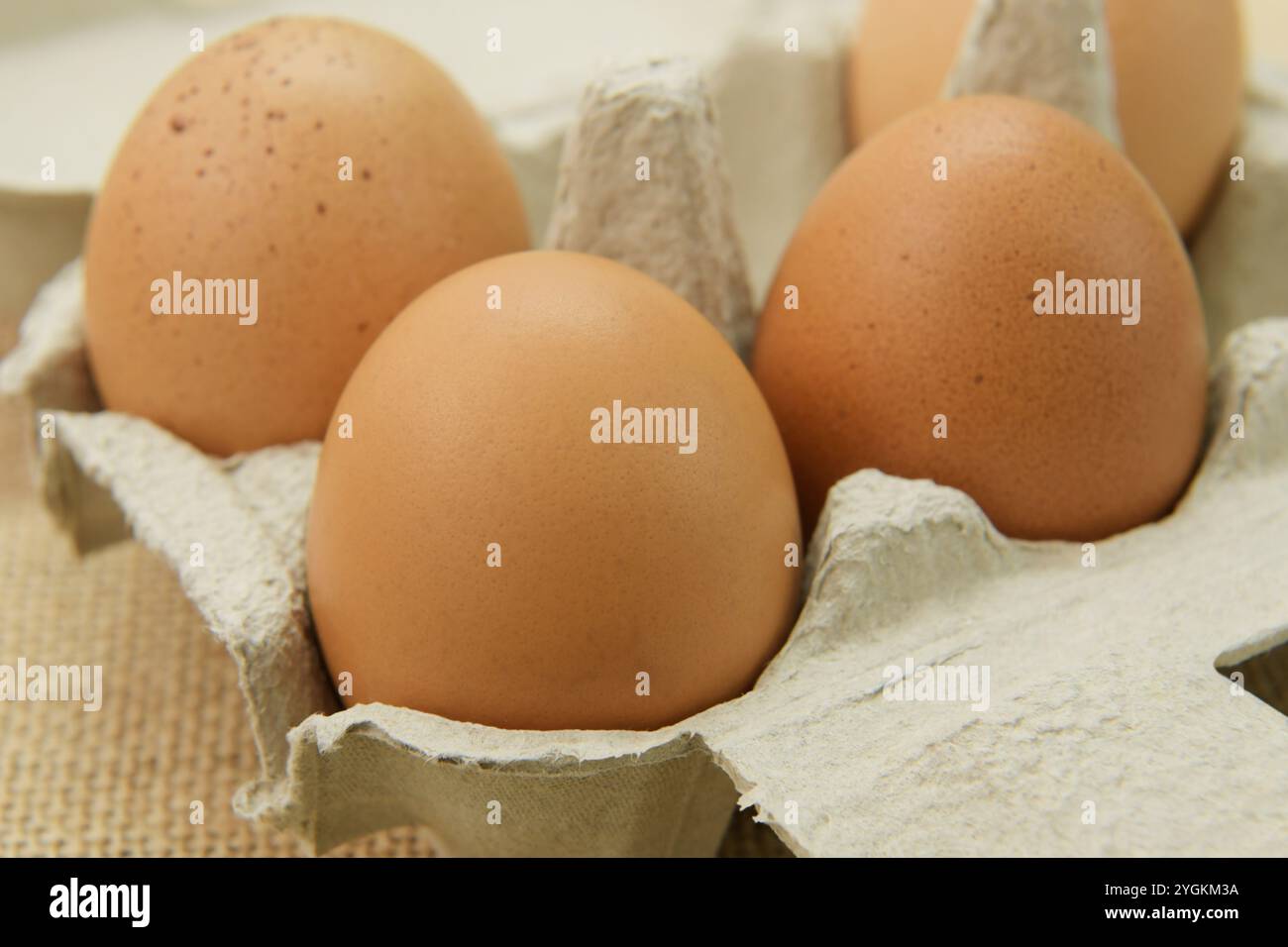 Uova in contenitore di imballaggio, uovo di pollo, ingrediente di cottura proteico animale, illustrazione del cibo, raccolta di oggetti alimentari, mangiare sano Foto Stock