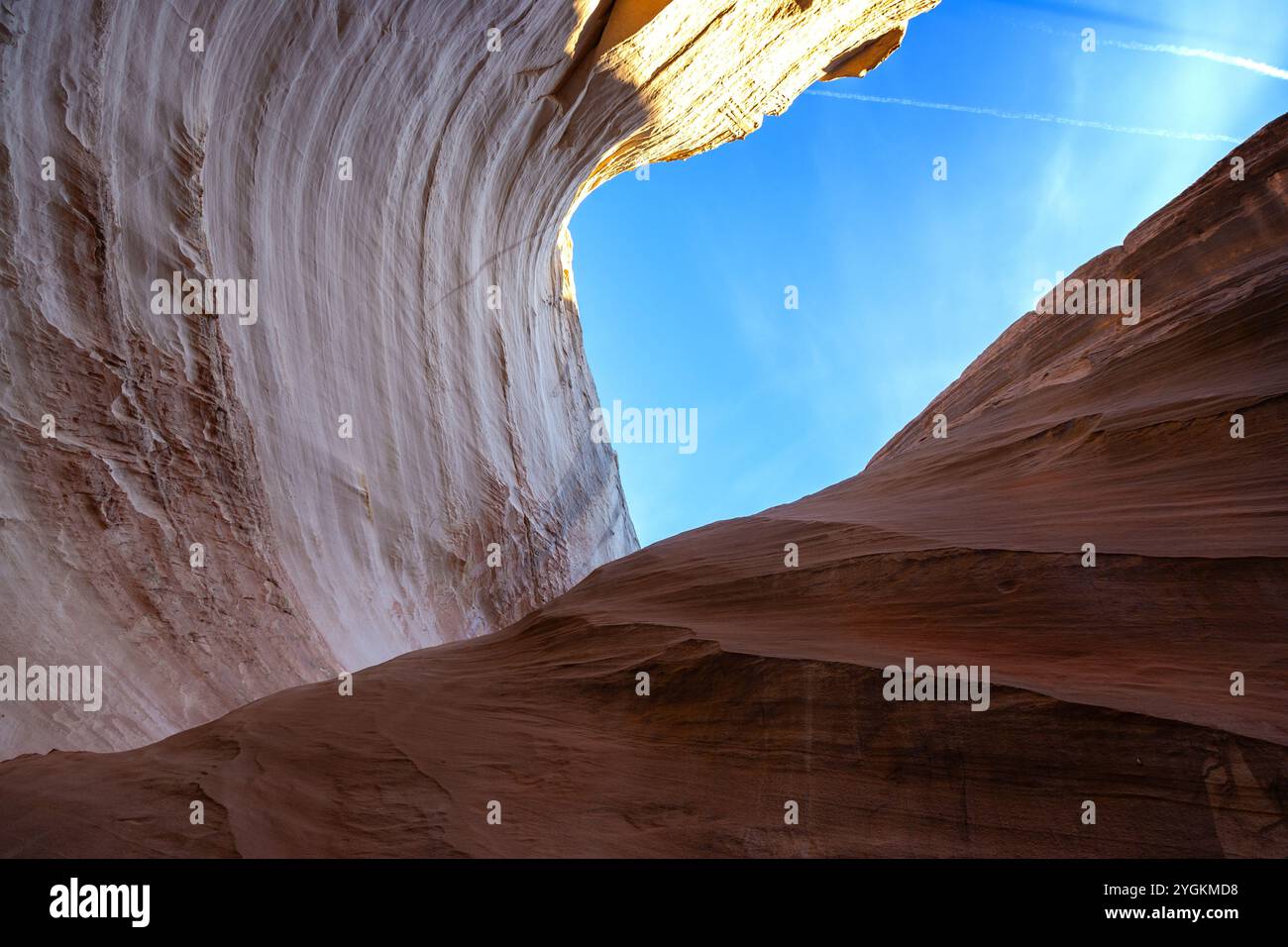 La Nautilus Wave ha eroso il Sandstone Rock Formation Canyon. Escursioni Scenic Grand Staircase Escalante National Mounument Landscape, Utah sud-ovest degli Stati Uniti Foto Stock