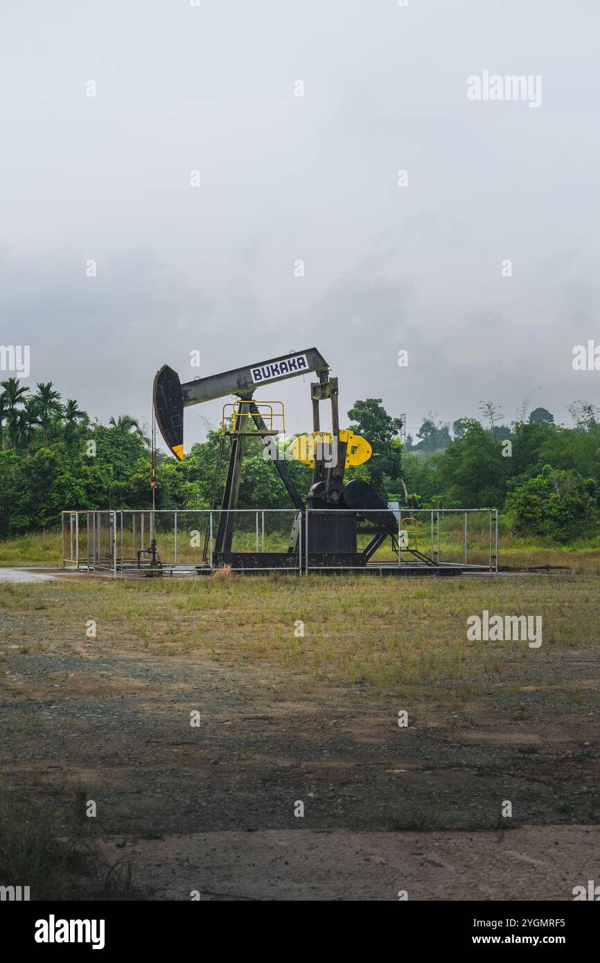 Vecchio pozzo con pompa a pompetta o a leva di proprietà di Pertamina nella zona di Samboja che è ancora in funzione, Borneo orientale, Indonesia Foto Stock