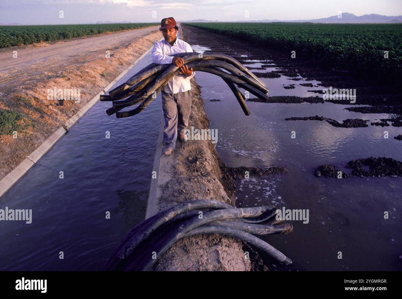 Un irrigatore della riserva Ak-Chin lavora lungo il canale CAP in Arizona. Foto Stock