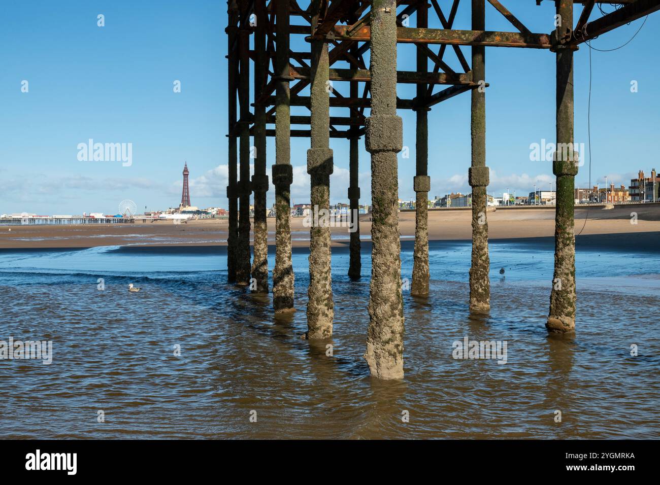 Vista dai pilastri che sostengono Central Pier a Blackpool con la torre e il lungomare visti in lontananza. Foto Stock