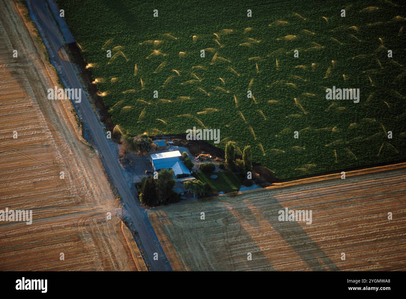 Antenna di irrigazione sprinkler nel distretto di irrigazione Klamath Basin, Tule Lake, Lower Klamath Lake sul confine tra Oregon e California. Foto Stock