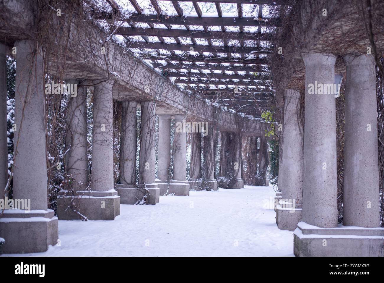 Il pergolato innevato vicino alla sala del Centenario di Wrocław, Polonia, crea una pittoresca scena invernale, invitando i visitatori a sperimentare il fascino di un Foto Stock