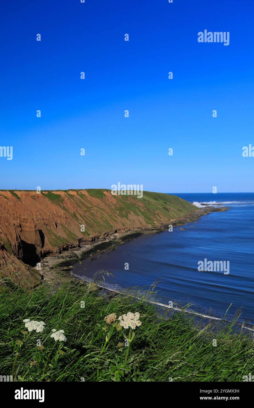 Vista sulla penisola di Filey Brigg, Filey Town, North Yorkshire, Inghilterra, Regno Unito Foto Stock