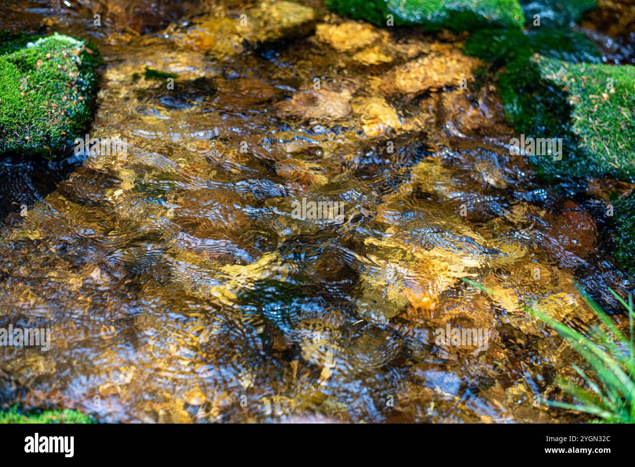 Un dolce ruscello scorre attraverso i monti Jizera in Cechia, annidato tra una foresta lussureggiante e tranquilli paesaggi montani. Foto Stock