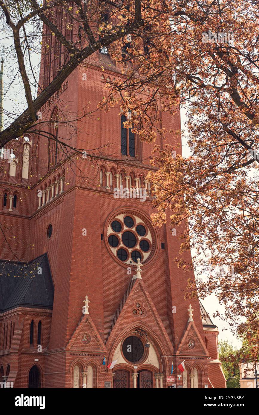La chiesa di Santa Caterina a Torun, in Polonia, è una splendida struttura gotica, caratterizzata da un'intricata architettura e da un significato storico. Foto Stock