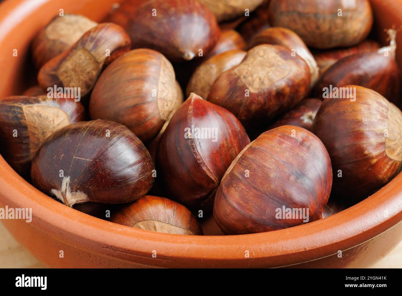 Castagne crude in una pentola di argilla, Spagna Foto Stock