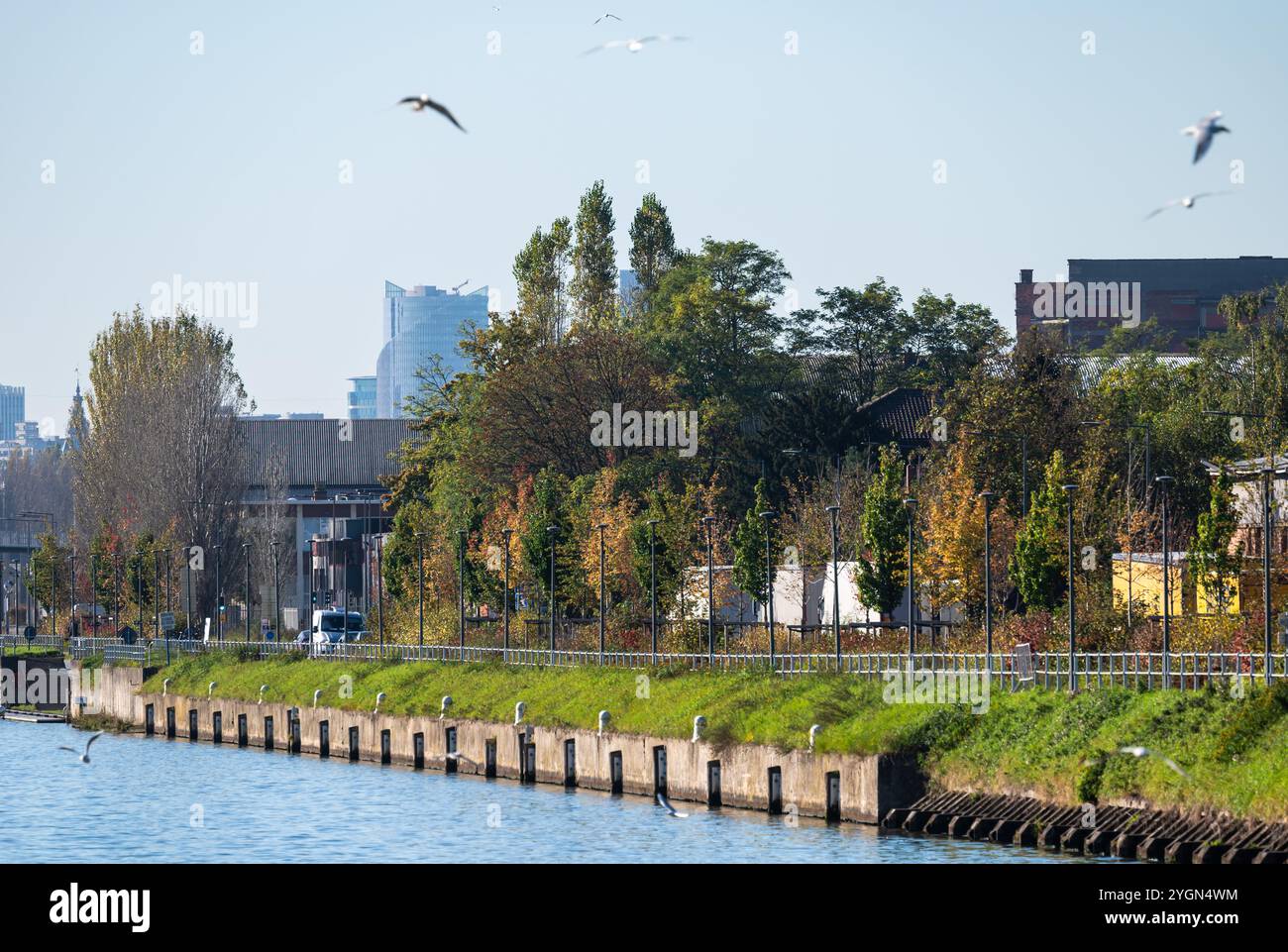 Sponde verdi del canale nella zona industriale di Neder sopra Heembeek, regione di Bruxelles capitale, Belgio Foto Stock