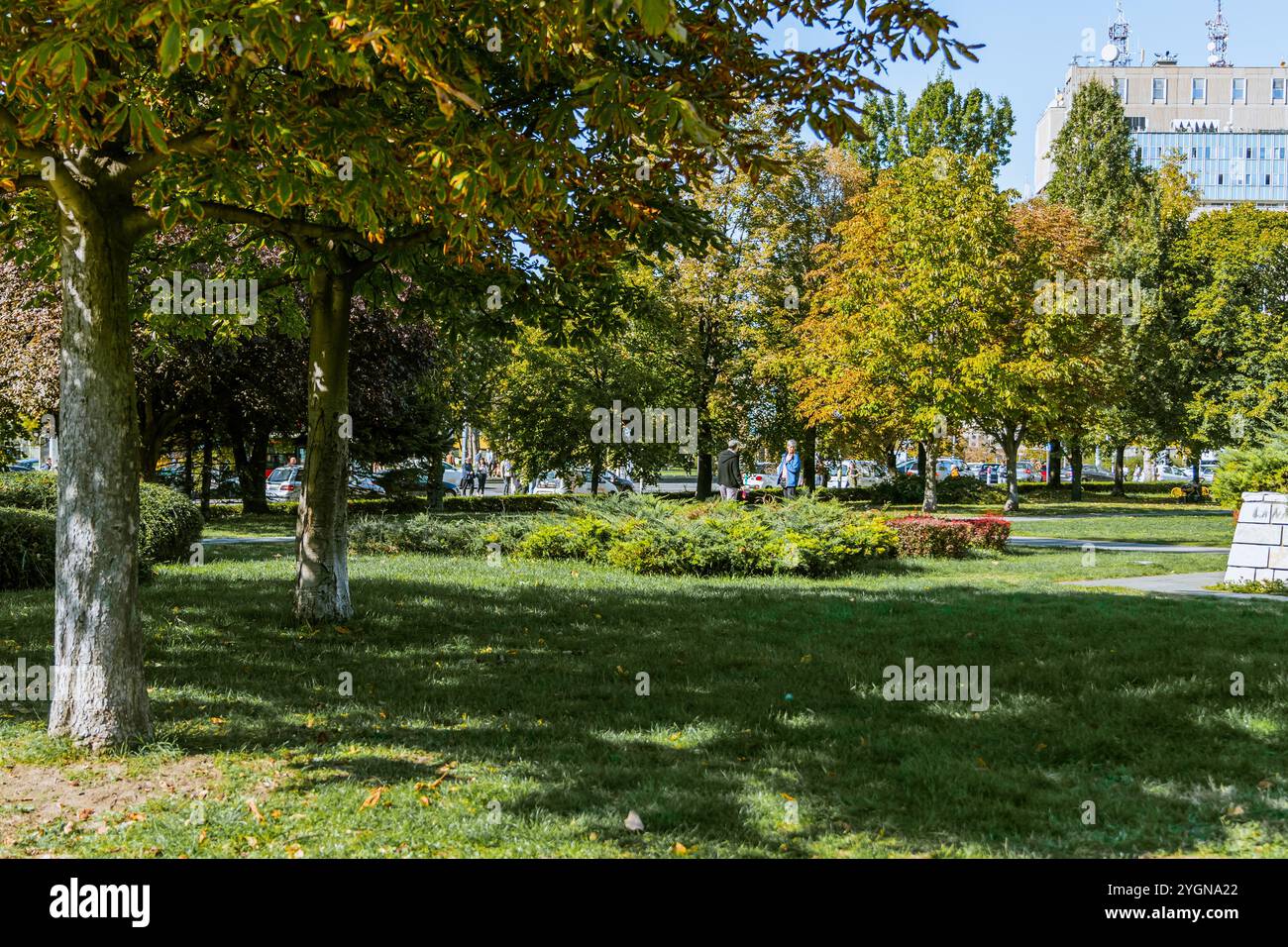 Tranquilla panchina di legno lungo il sentiero di un parco cittadino. Boschetto di alberi decidui maturi con prato verde lo rendono un luogo magico in cui riposare. Pol. Di alta qualità Foto Stock