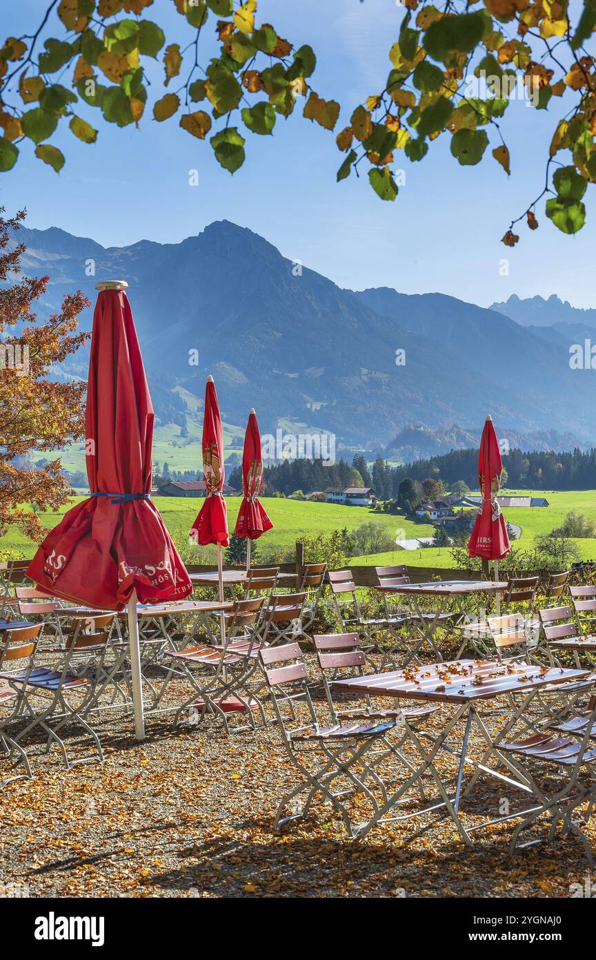 Birreria all'aperto autunnale con ombrelloni sullo Schweineberg, cielo azzurro, vicino a Ofterschwang, Allgaeu, Baviera, Germania, Europa Foto Stock