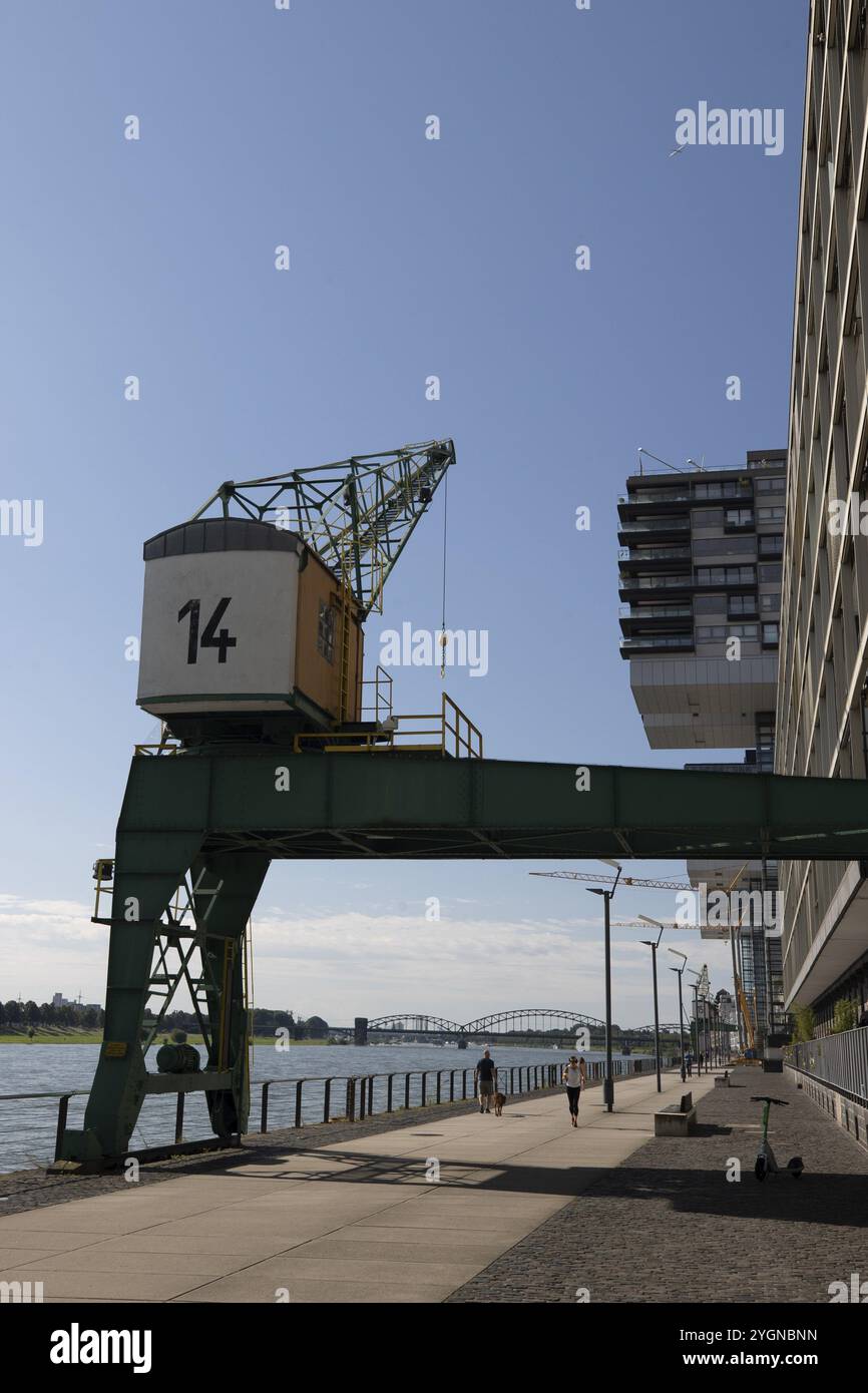 Cattedrale, Rheinauhafen, Suedbruecke, Colonia, Renania settentrionale-Vestfalia, Crane Houses, una domenica a Colonia il 14.07.2024 nella Cattedrale di Rheinauhafen Foto Stock