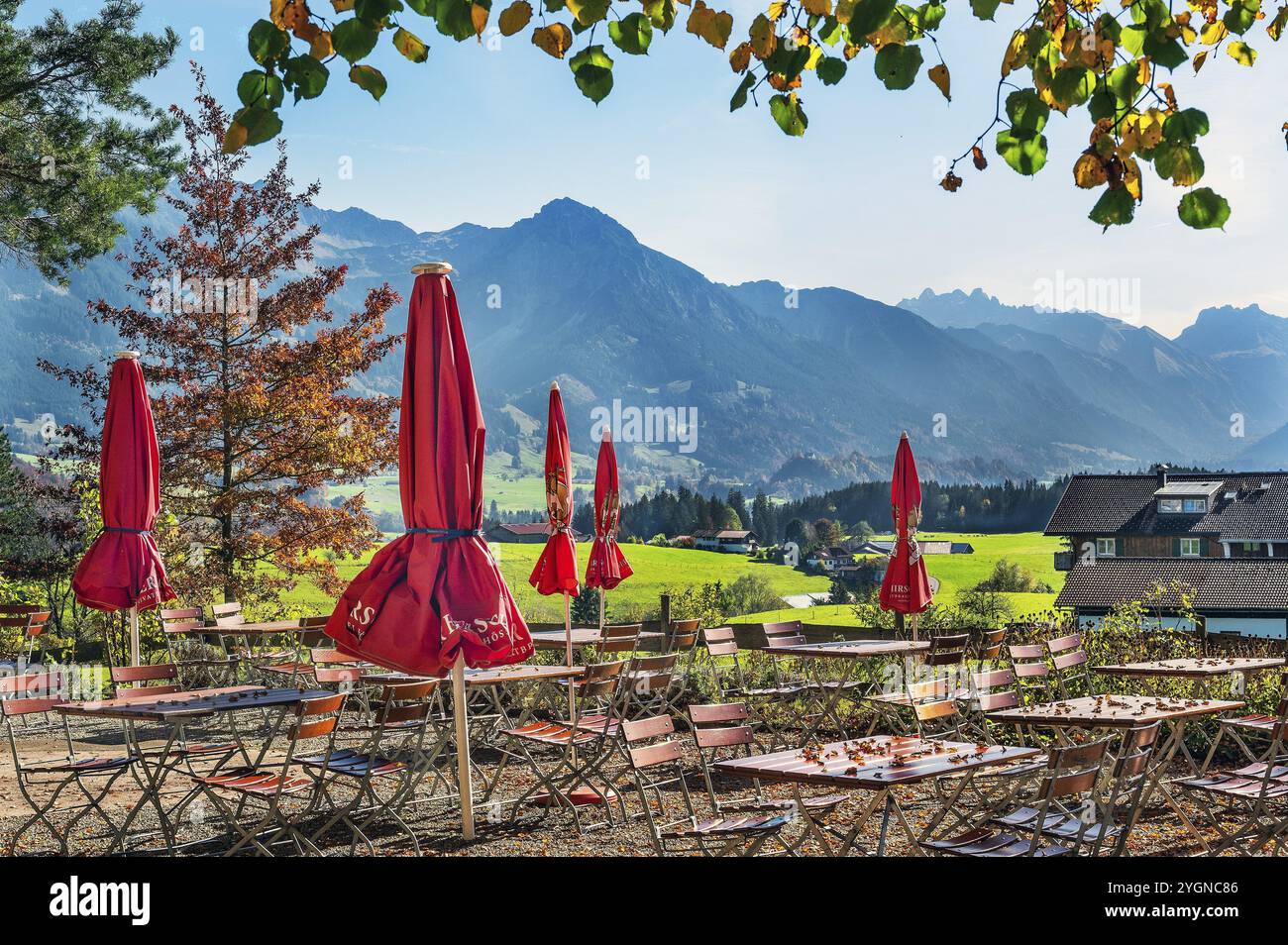 Birreria all'aperto autunnale con ombrelloni sullo Schweineberg, sulle Alpi Allgaeu vicino a Ofterschwang, Allgaeu, Baviera, Germania, Europa Foto Stock