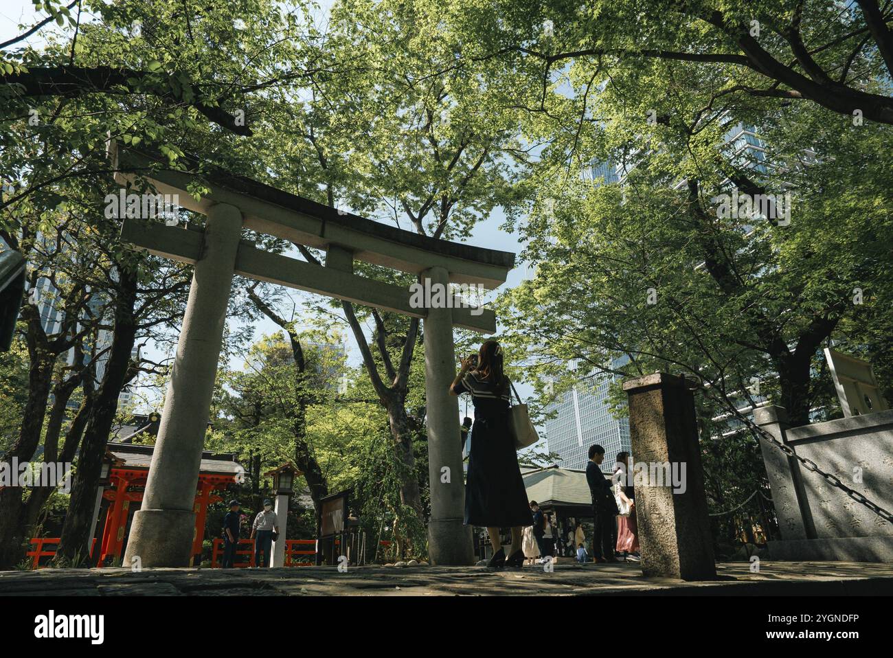 Una donna scatta una foto al santuario Atago Shinto di Tokyo Foto Stock