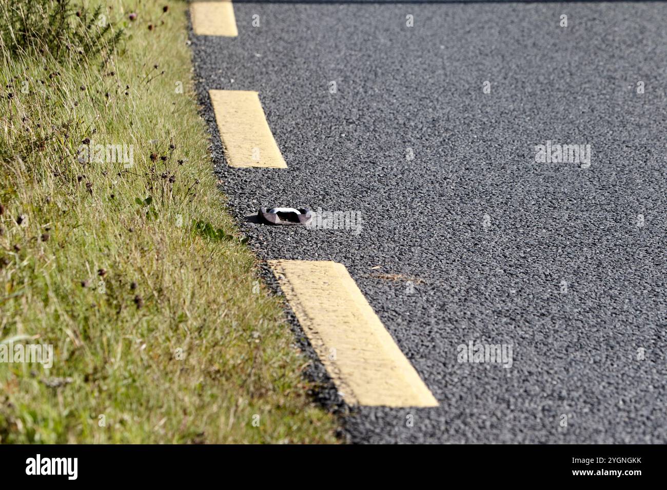 segnaletica stradale rotta gialla e occhio di gatto sul lato della strada, contea di donegal, repubblica d'irlanda Foto Stock