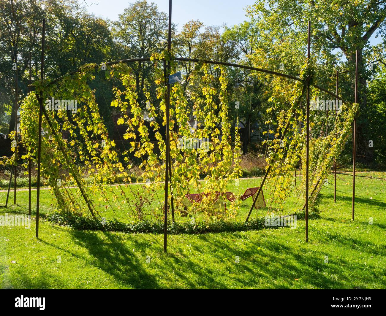 Tuttlingen, Germania - 3 ottobre 2023: Splendido posto in un parco con decorazioni per piante di luppolo Foto Stock