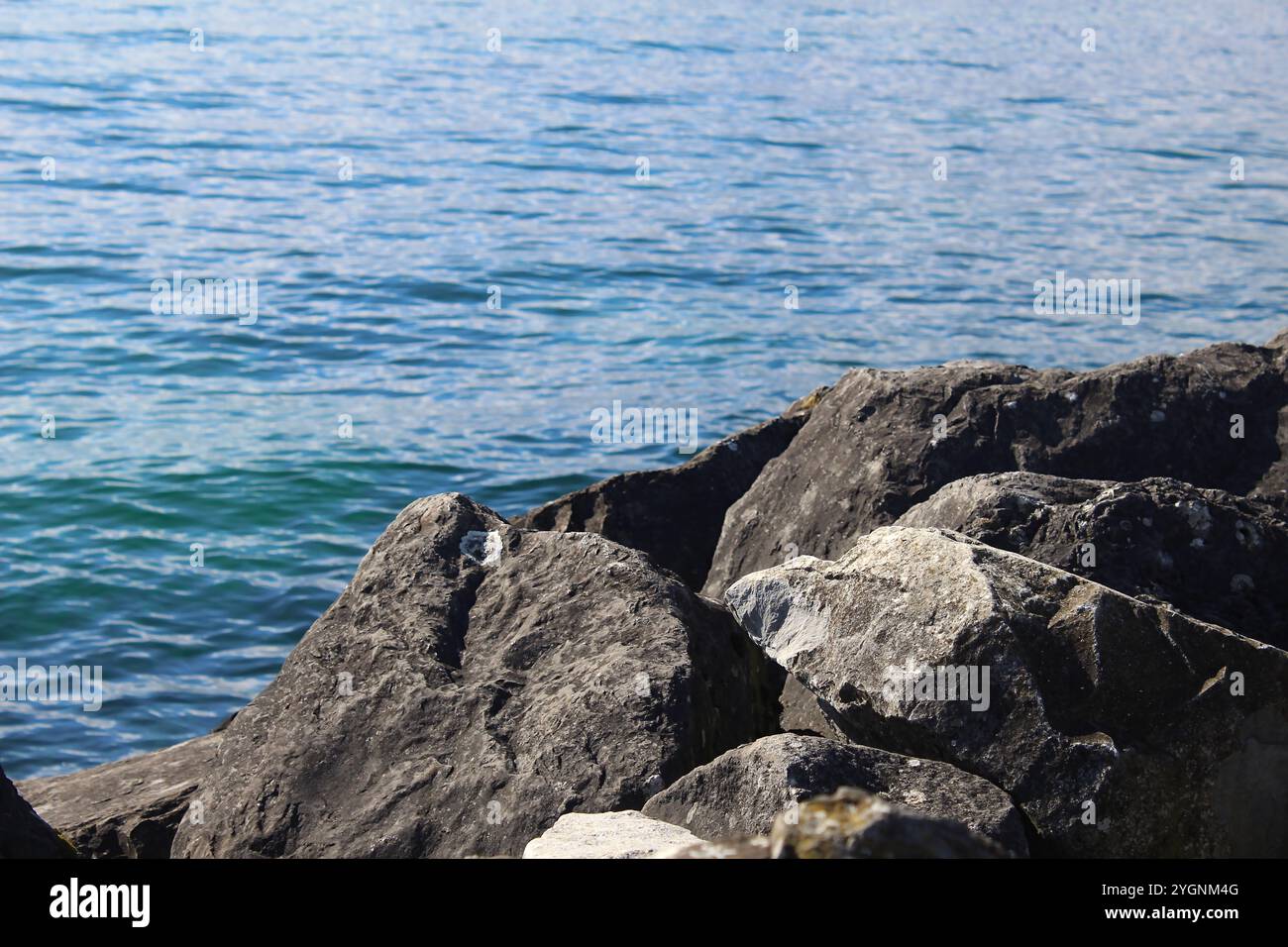 Guardando questa immagine e ricordando le onde e il colore dell'acqua ho visto la vita Foto Stock