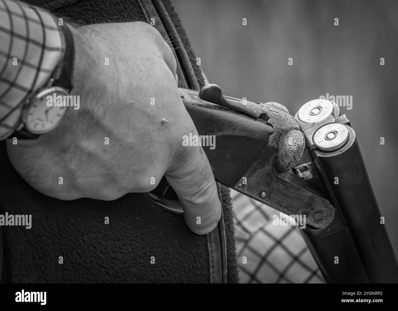 Fagiani dopo un giorno di riprese Foto Stock