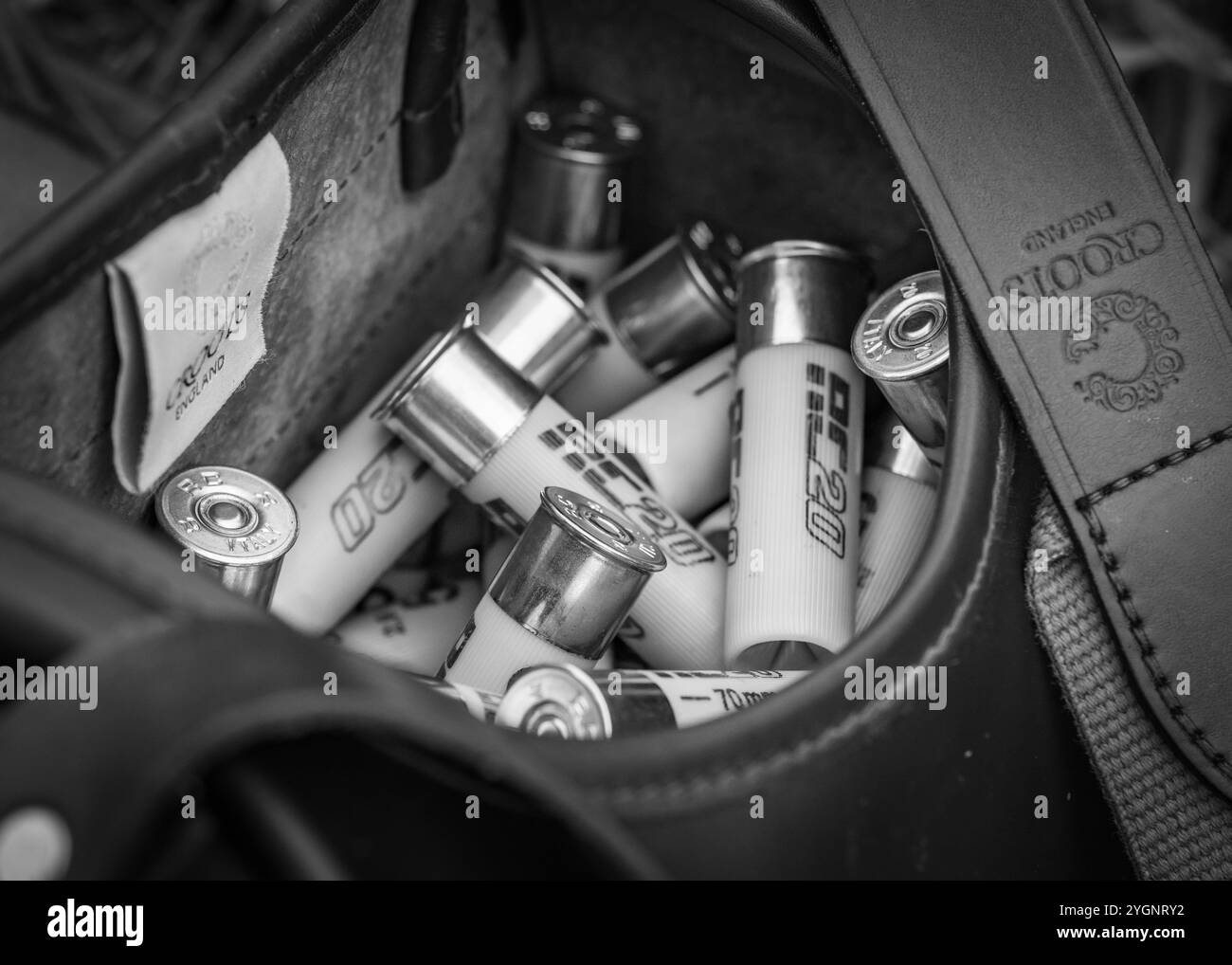 Fagiani dopo un giorno di riprese Foto Stock