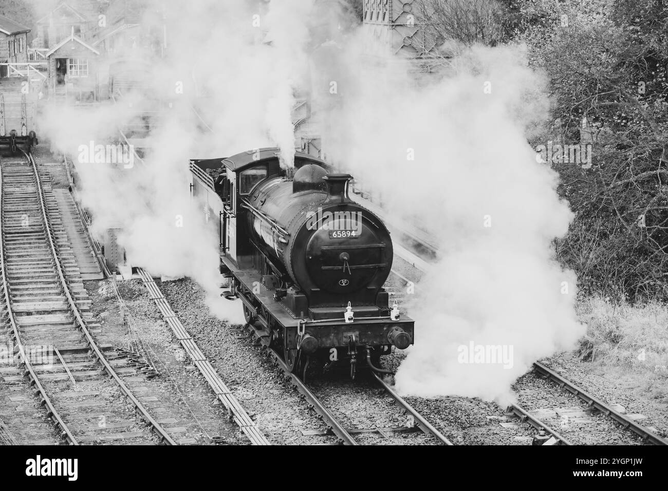Bianco e nero, monocromatico, North Yorkshire Moors Railway, NYMR, Moorlander, P3 65894 che si getta alla stazione di Goathland. Foto Stock