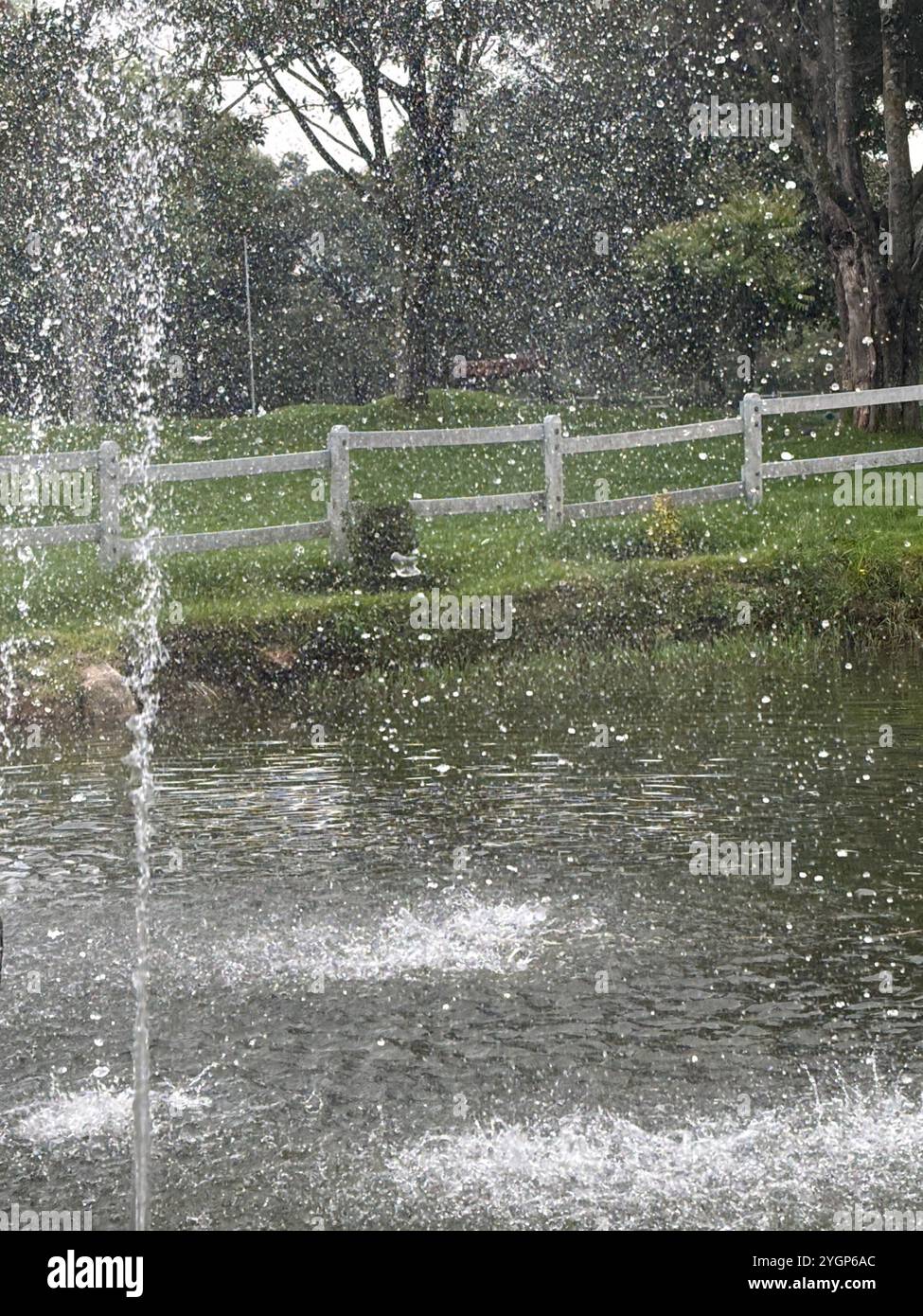 Fountain spruzza gocce d'acqua in un tranquillo laghetto del parco, circondato da vegetazione lussureggiante. Foto Stock