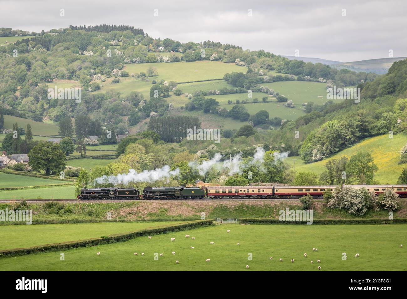 BR '5MT' 4-6-0 No. 45231 e BR 'Royal Scot' classe 4-6-0 No. 46100 pass 'Royal Scot' Llanvihangel, Galles, Regno Unito Foto Stock