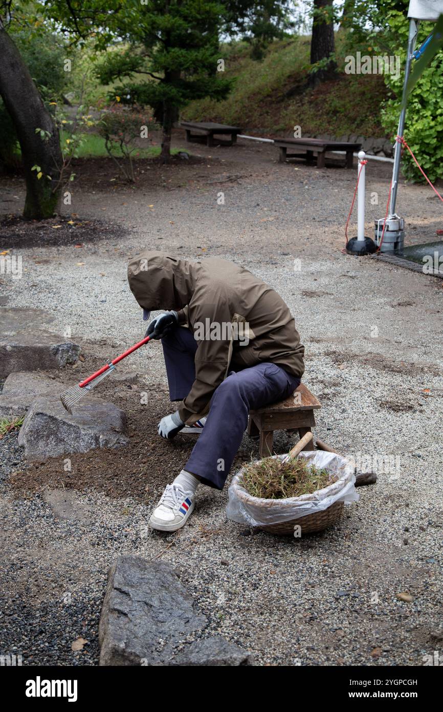 I giardinieri disertarono a mano i terreni del castello di Matsumoto a Nagano in Giappone Foto Stock