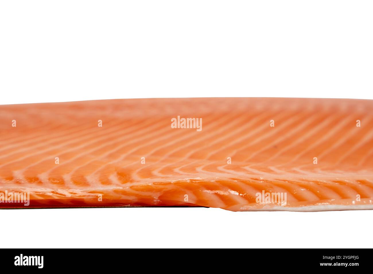 Il filetto di salmone viene visualizzato su sfondo bianco. L'immagine del salmone trasmette una sensazione di freschezza e salubrità. Foto Stock