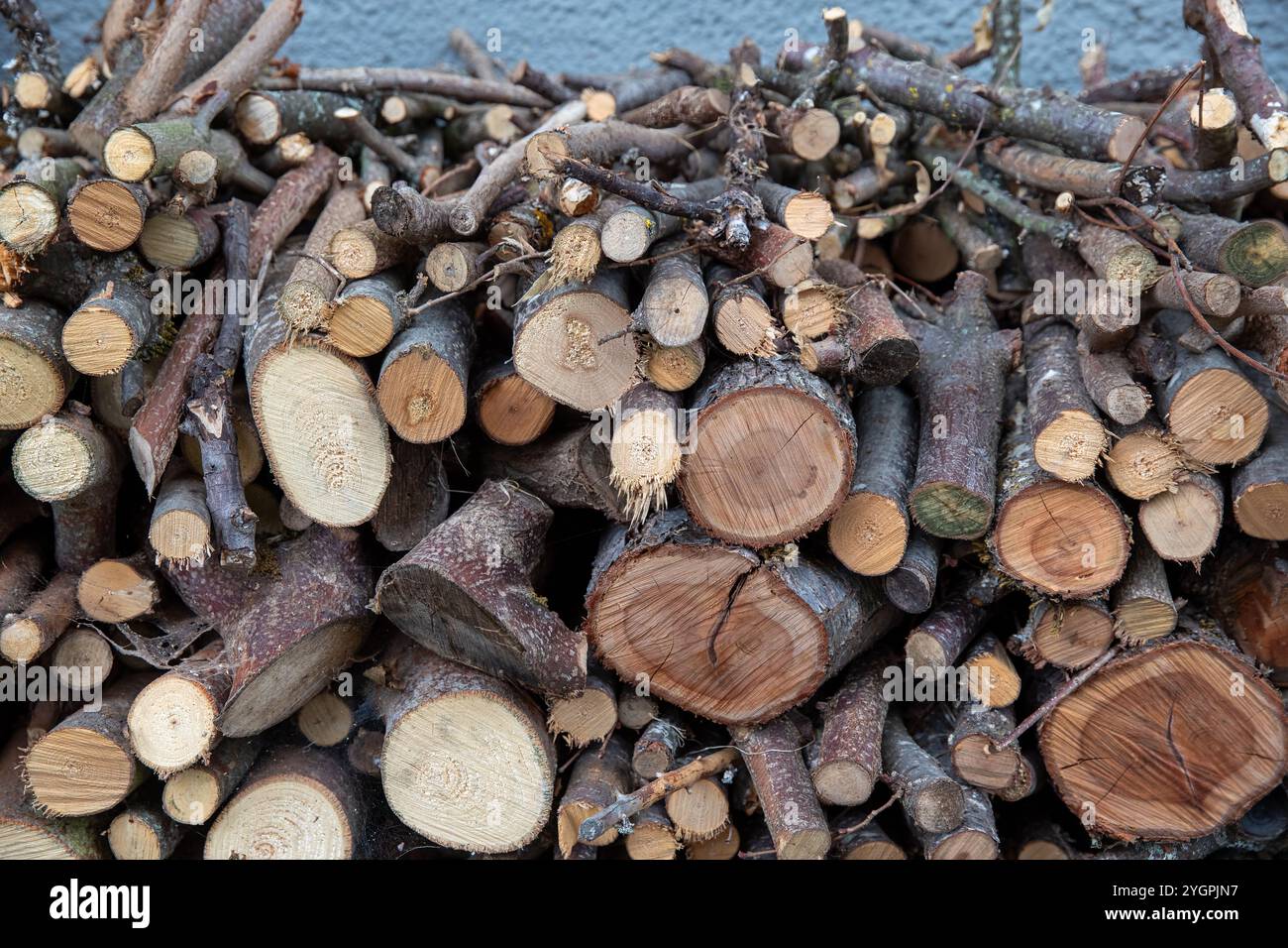 Deposito di legna da ardere impilato all'esterno della casa per riscaldamento invernale e arredamento rustico Foto Stock
